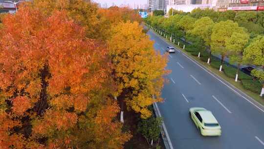 4k航拍 秋日道路汽车行驶