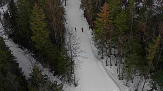 冬天，波兰扎科帕内，古巴洛卡山的雪地滑雪坡穿过松树，滑雪者在滑雪
