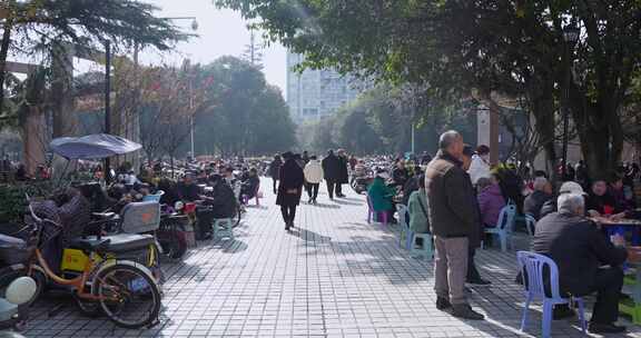 高清实拍四川城市公园休闲人文