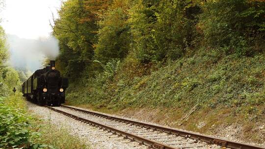 火车驶过森林中的铁路