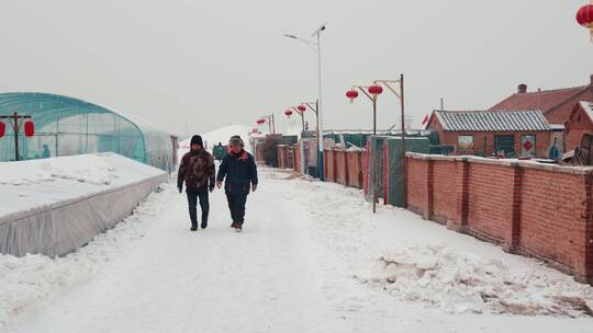 东北农村安静雪景拍摄