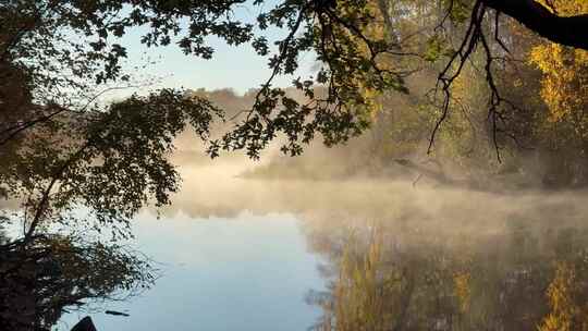 秋季森林湖泊河流雾气水中倒影
