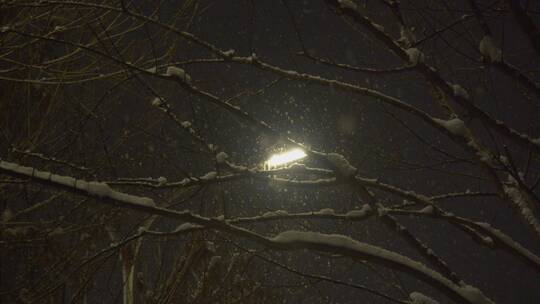 雪景下的路灯