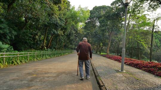 公园里蹒跚走路的老人