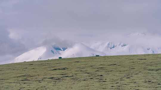 青海阿尼玛卿雪山与高山草甸延时摄影