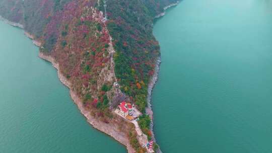 长江三峡巫峡红叶