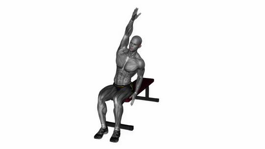3D坐着侧拉伸健身运动科学锻炼体魄演示