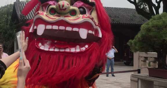 舞狮表演中的醒狮特写