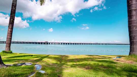 深圳_椰林海景移动延时