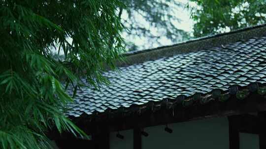 古建筑竹林屋檐下雨