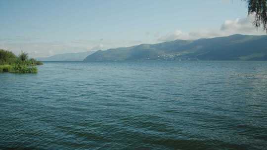 大理洱海湖岸风景