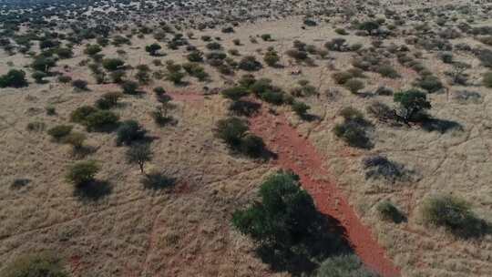 南部非洲大卡拉哈里地区的航拍镜头视频素材模板下载