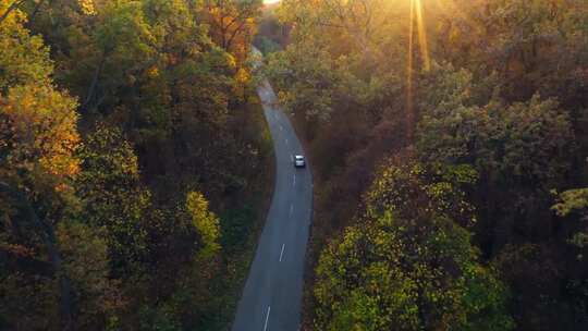 俯瞰一辆汽车行驶在风景秀丽的森林道路上