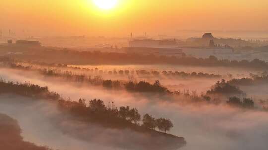 上海地标 城堡 郊区晨雾 上海晨雾 自然