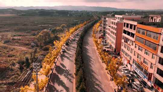 威双大道银杏威宁道路秋景