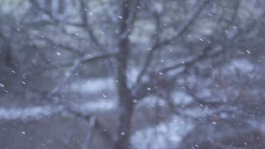 冬季飘落的雪花背景慢动作视频素材模板下载