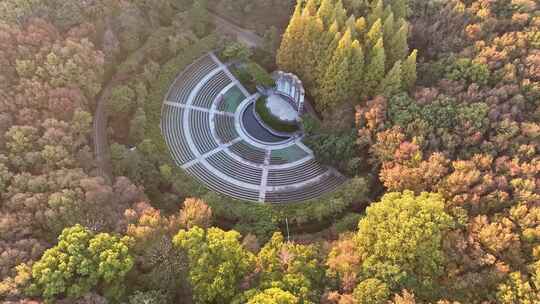 南京秋天 音乐台 中山陵风景区