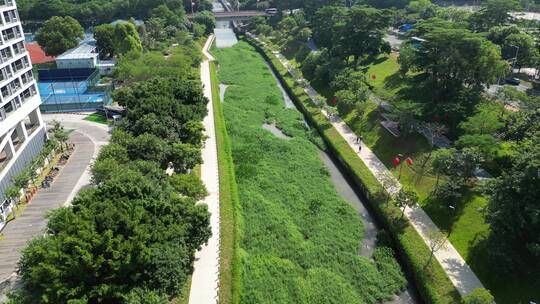 深圳西丽大学城视频素材模板下载