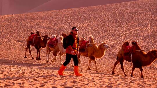 4K月牙湾沙漠骆驼背包客