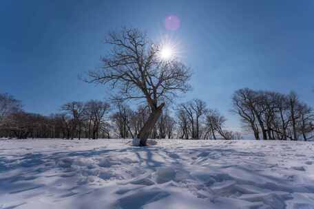 4K吉林冬天雪景四方顶枯树蓝天雪景延时