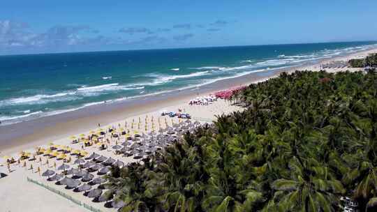 福塔莱萨的热带海滩风光。巴西东北部。塞阿拉州。