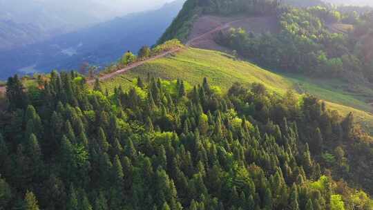 湖北利川文斗谪仙茶园高山茶园视频素材模板下载