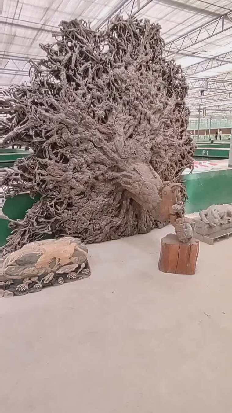 大型根雕艺术作品展示