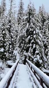 每一帧都是热爱，雪景，落日余晖映山水