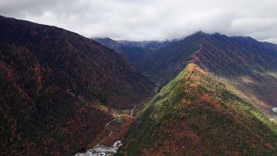 川西康定山川金黄色的秋天航拍