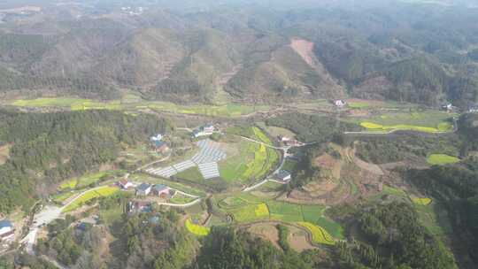 美丽乡村农业种植油菜花农田航拍