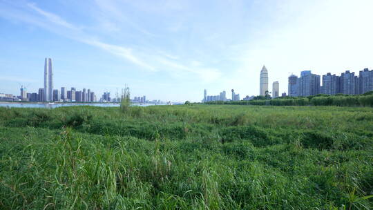 武汉江岸区汉口江滩风景