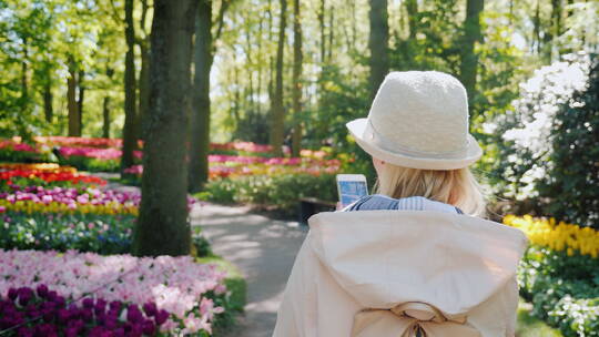 女人漫步在郁金香花园视频素材模板下载