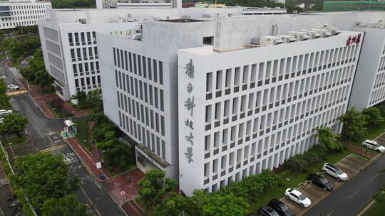 西丽大学城 南方科技大学