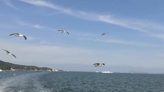 山东威海刘公岛游船渡轮海鸥游客威海湾轮渡