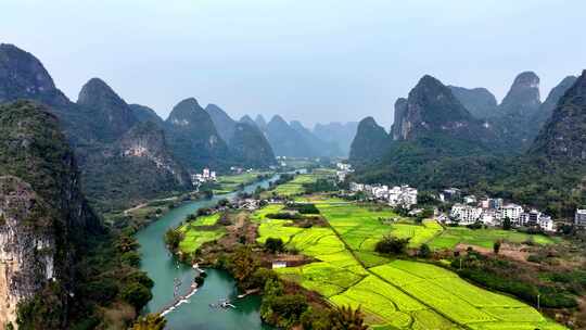 航拍春节阳朔遇龙河油菜花开