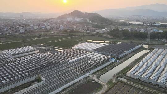 大气 航拍 福建 泉州 农场 农业 美景