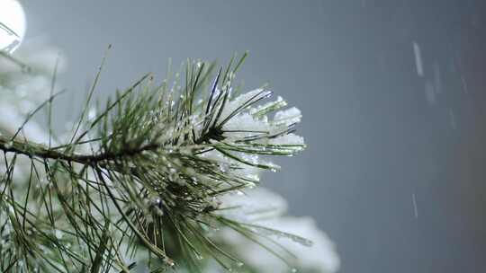 雪景唯美升格实拍