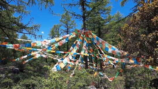 川西稻城亚丁蓝天下山林间飘扬的经幡视频素材模板下载