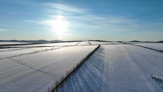 航拍内蒙古垦区雪原阳光