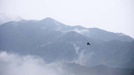 高山隐逸云雾间，禅心悠然情自远