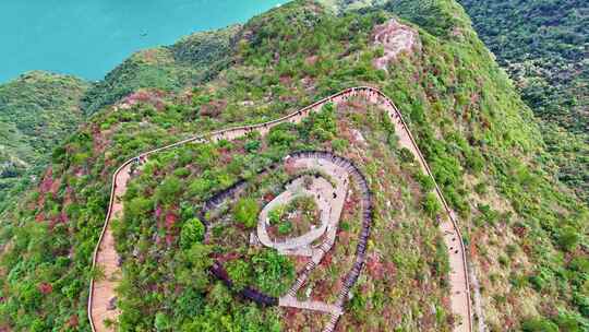 三峡红叶