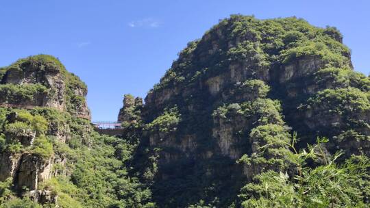 美丽的风景