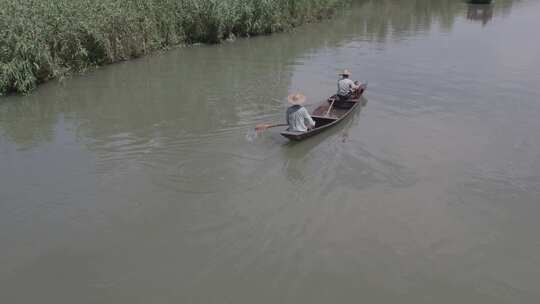 浙江杭州西溪湿地渔民乘船撒网捕鱼航拍