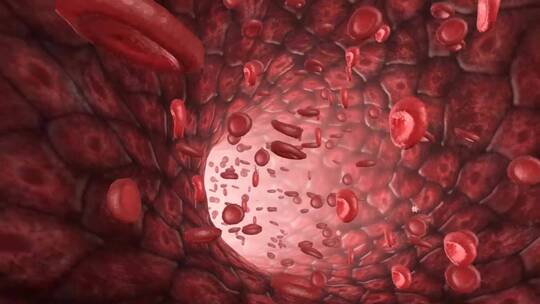 医学人体血管腔血液循环系统三维动画