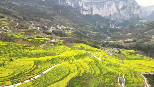 湖北恩施5A景区大峡谷绝壁花海航拍