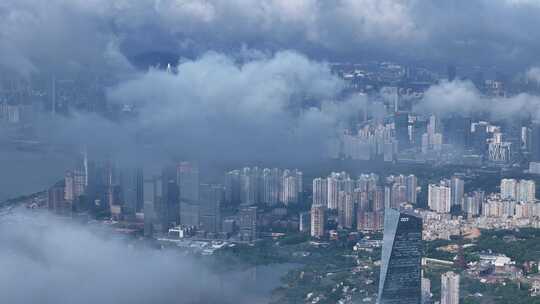 云上的深圳湾超总基地视频素材模板下载