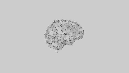 医学 大脑 脑科学 三维 脑ct1 模型