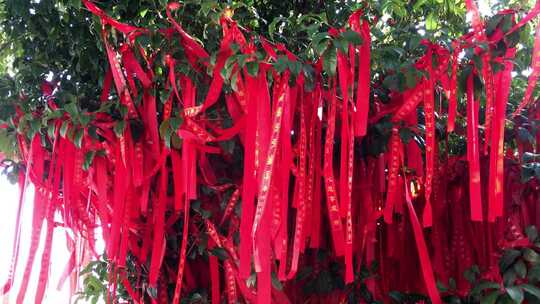 寺庙寺院祈福禅修禅意风景意境古建筑素材视频素材模板下载