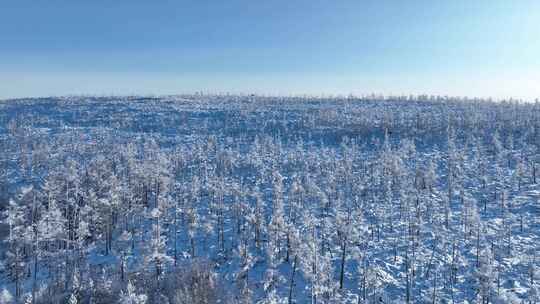 航拍大兴安岭林海雪原风光