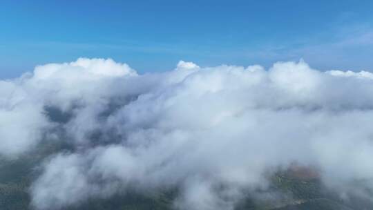 高山云海